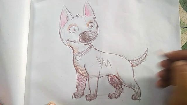 Disney Bolt / How to draw dog /colour pencil drawing / simpal drawings/pencil drawing / draw animal смотреть онлайн