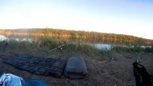 ловля карпа на реке Сал в Ростовской области(вопросы на моём дзен канале.ссылка в описании канала)