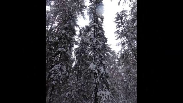 Путешествия Полазна Тихий декабрь смотреть онлайн