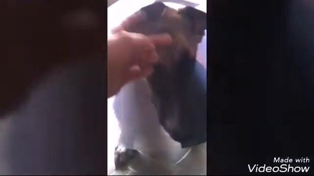 Поездка к ветеринару на стерелизацию извини что видео по кускам