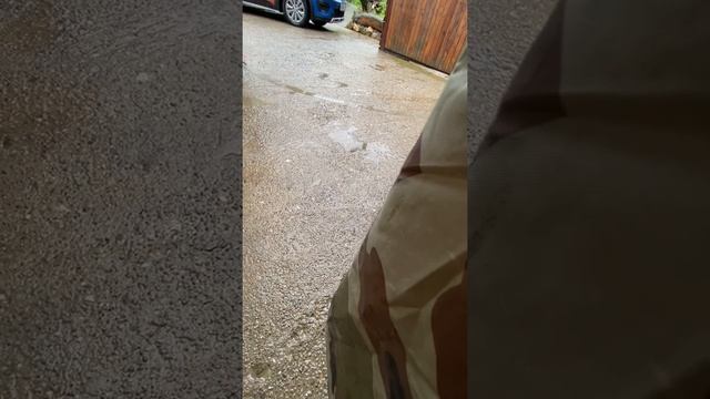 Сочи. Посёлок Воронцовка смотреть онлайн