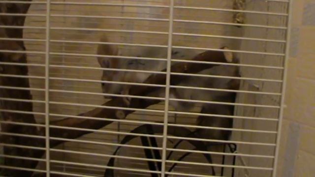 2 смотреть онлайн