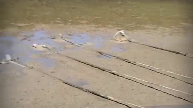 The Snatch Test смотреть онлайн