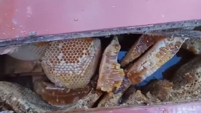 Находка века смотреть онлайн