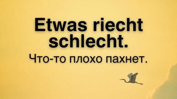 Немецкий на слух | Фразы на каждый день на немецком  | Разговорная практика на немецком 🇩🇪