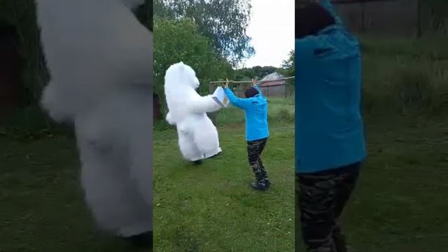 Многие хотят себе такой подарок! Поздравление от белого медведя Умки#рекомендации #залетипж смотреть онлайн