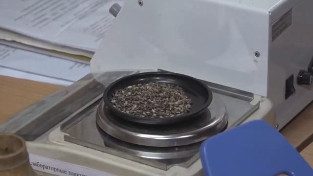 Самарская лесосеменная станция филиала ФБУ "Рослесозащита" - "Центра защиты леса" смотреть онлайн