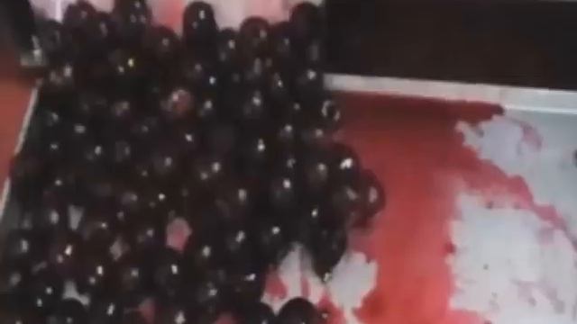 Ķiršu atkaulotājs смотреть онлайн