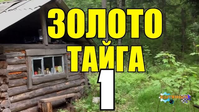 БОМЖИ В ТАЙГЕ | НАХОДКА ЗОЛОТО | УБИЙСТВО ИЗ ЗА НАЖИВЫ 1 из 4 смотреть онлайн