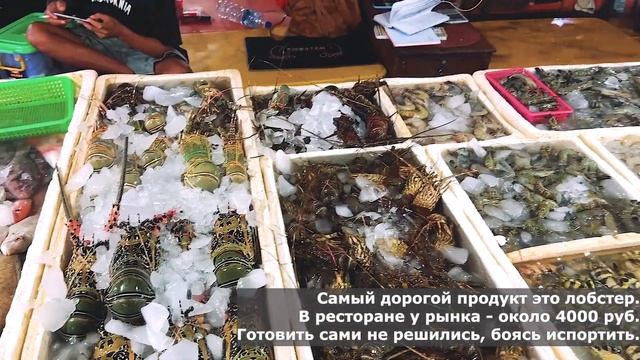 Будни на Бали. Savaya Club. смотреть онлайн