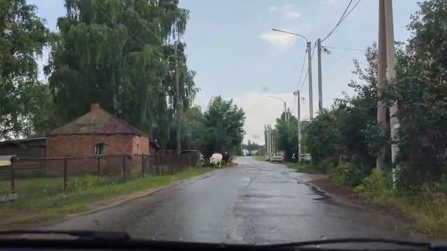 ЖАРА. РЯЗАНСКАЯ ОБЛАСТЬ. смотреть онлайн