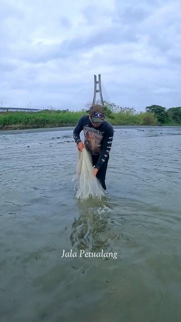 JALA IKAN DI MUARA SAAT CUACA DINGIN HASIL NYA MENGEJUTKAN #SHORTS #JALAIKAN смотреть онлайн