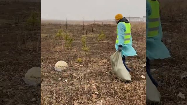 21 марта состоялась очередная посадка деревьев на территории эко парка Сосновый Бор Алматы смотреть онлайн