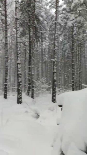 Землянка. Замело снегом #землянка #лес #снег смотреть онлайн