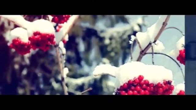 12 мая 2020 г. смотреть онлайн