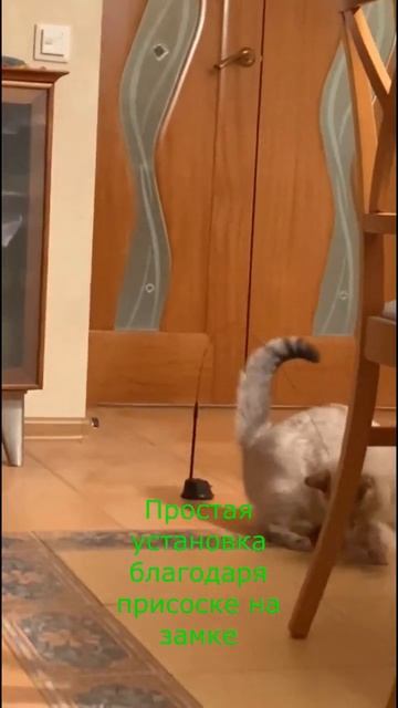 Интерактивная игрушка-дразнилка для кошек смотреть онлайн