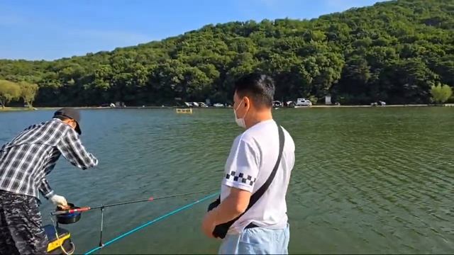 ловлю на поплавок сазанов, снасть херабуна. обучающее видео. смотреть онлайн