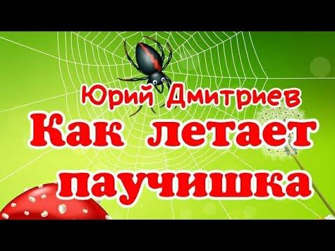Как летает паучишка. Юрий Дмитриев. Рассказ для детей с картинками смотреть онлайн