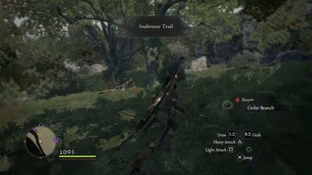 Dragon's Dogma: Quest - Dying of Curiosity (last location) смотреть онлайн