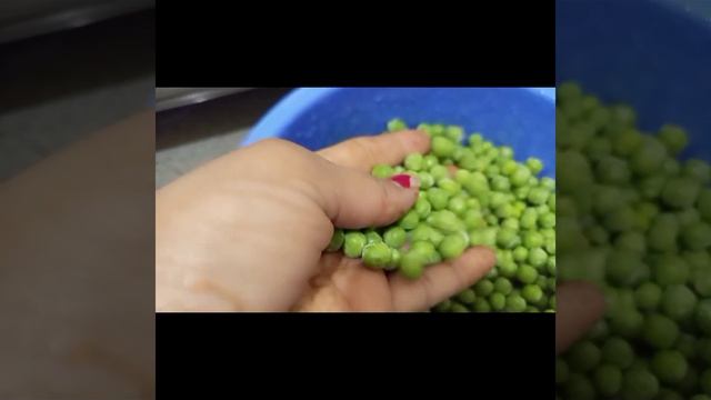 #green matar ko is tarah store Karen#short#viral #umas #garden # смотреть онлайн