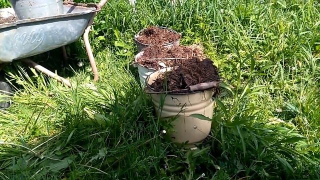 Картофель в ЯЩИКЕ. 2020 год. смотреть онлайн