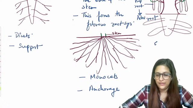 The Root | Morphology of Flowering Plants | AAGAZ NEET 2024 Batch | Shruti Ma'am | One Stop NEET смотреть онлайн