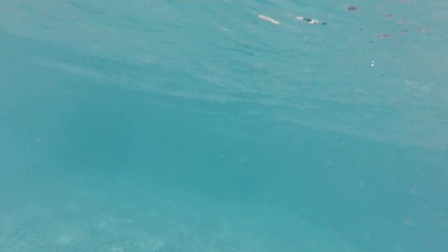 Beach Club Doganay Hotel 5*, 2019. Отличный отель для всей семьи! Часть 1, #1