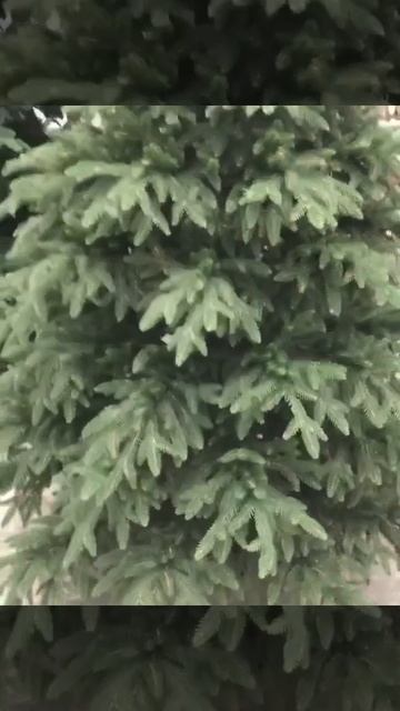 Престиж елка литая искусственная смотреть онлайн