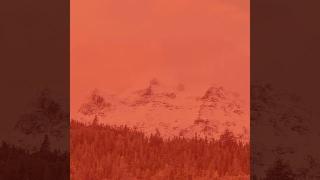 Впечатление (Отель) смотреть онлайн