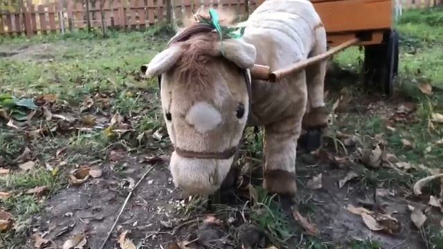 октябрь 2021 г. Рукотворные творения во дворе многоэтажки. Район Депо-2. Хабаровск. смотреть онлайн