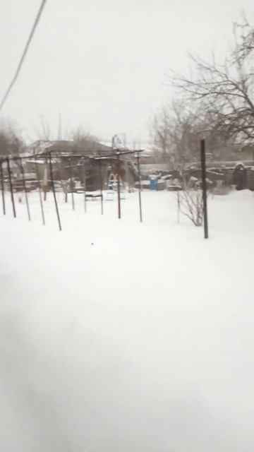 24 марта 2018 г.Волгоград смотреть онлайн