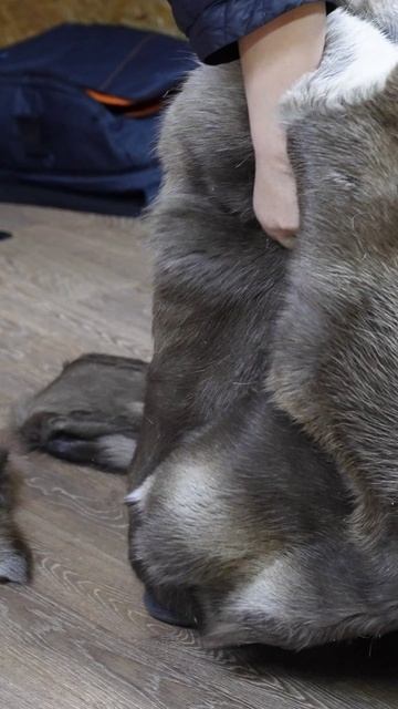 Очень оригинальные и теплые костюмы из оленьих шкур для фильма смотреть онлайн