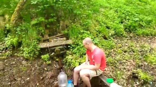 Сибирский лес. смотреть онлайн