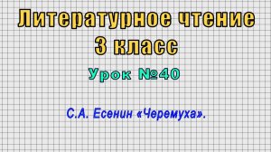 Литературное чтение 3 класс (Урок№40 - С.А. Есенин «Черемуха».)