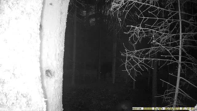 IMAG0166 смотреть онлайн