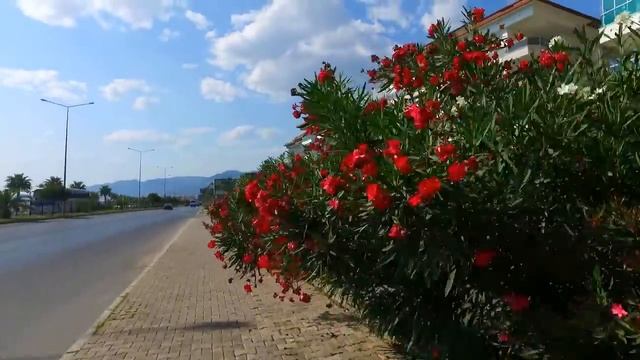 Турция-2021 смотреть онлайн