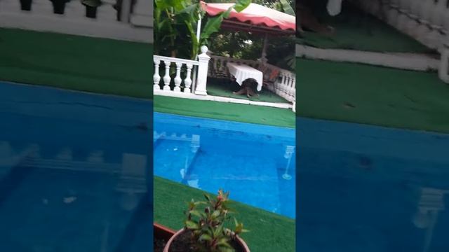 отдых на море смотреть онлайн
