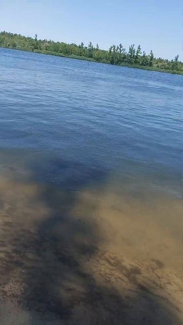 #пляж #дон #волгодонск #лето смотреть онлайн