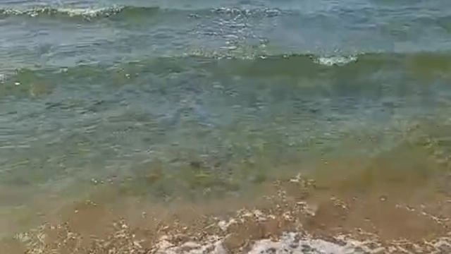 ЗВУКИ ПРИРОДЫ ДЛЯ ХОРОШЕГО СНА. ШУМ ВОЛНЫ.