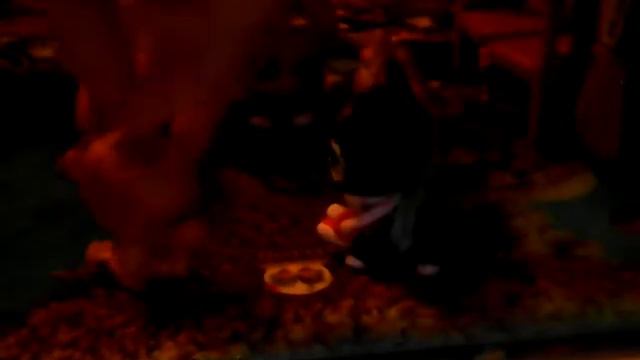 Научи меня любовь сериал 4 серия смотреть онлайн