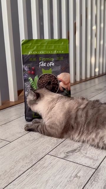 3 августа 2023 г. смотреть онлайн