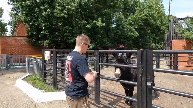 Поездка в Саранск июнь 2024 #саранск смотреть онлайн