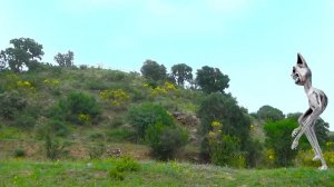 Как мальчик ОБМАНУЛ Фаст Сергей ? ЗООНОМАЛИ 6 серия