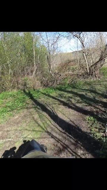 Тверь - Старица вдоль Волги #shorts смотреть онлайн