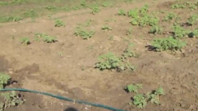 СЕМЕЙНЫЙ ОТДЫХ на ДОНУ с переездом на АХТУБУ 2011г. смотреть онлайн