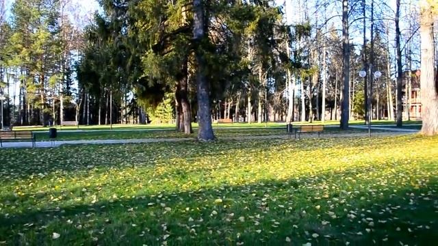 Листопад смотреть онлайн