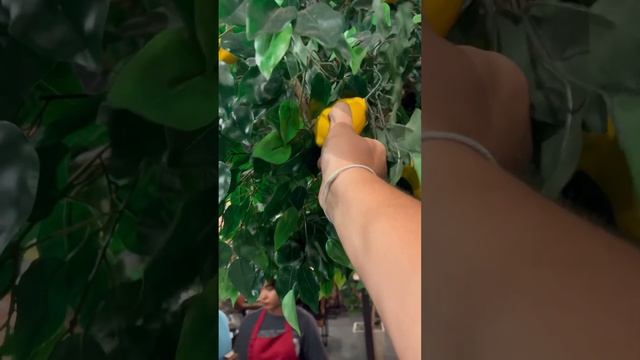 Паттайя, ресторан Ae&ek Steak, вкусно, дешево, рекомендую! смотреть онлайн