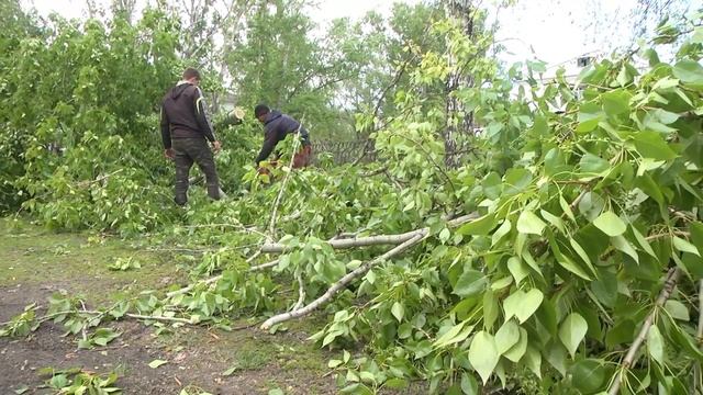 Всего один порыв ветра... (без комментариев) смотреть онлайн