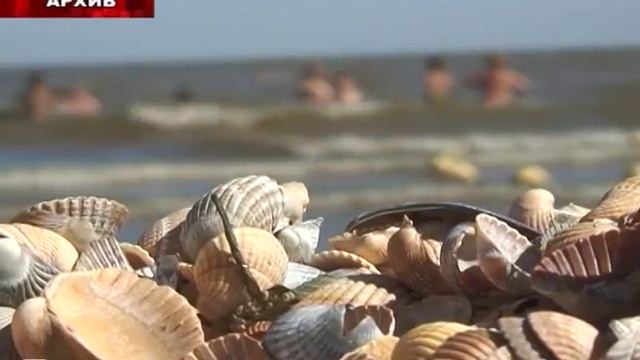 Разрешенные места для отдыха смотреть онлайн