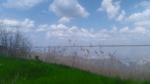 Лиманы краснодарского края